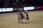 Quadrille - 00351